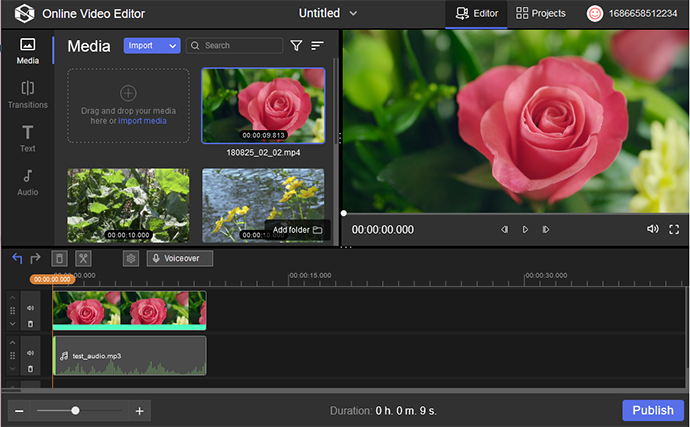 Online Video Editor