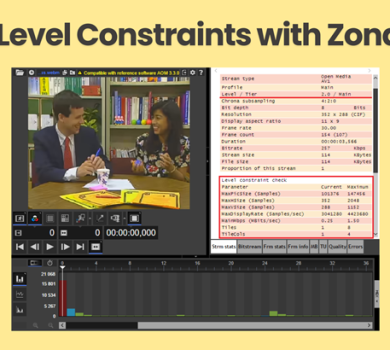 AV1 Level Constraints with Zond 265