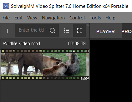 Video Splitter's interface (part)