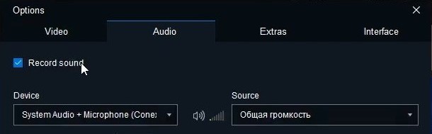 Включить опцию “Записывать звук”