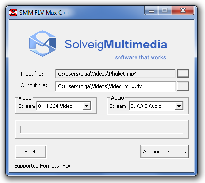 SMM Mux C++: FLV