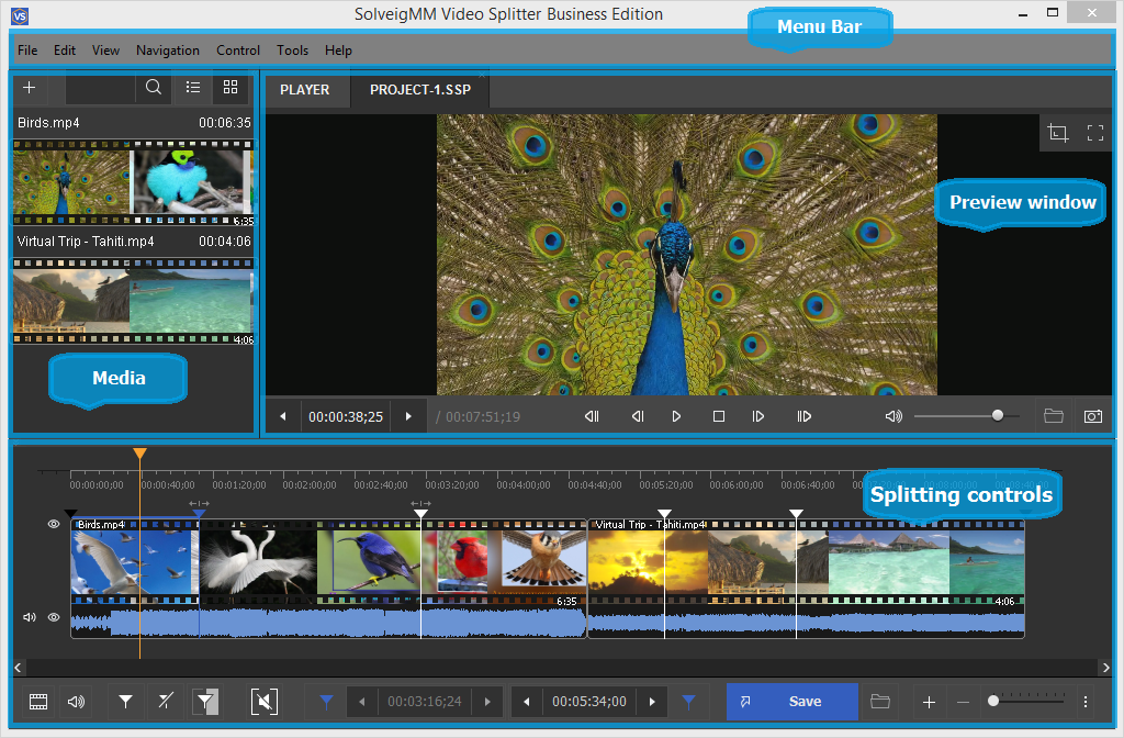 The User Interface of the Video Splitter